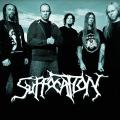 Suffocation - Discography (1991 - 2017) (Lossless)