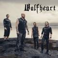 Wolfheart - Discography (2013 - 2020) (Lossless)
