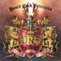 David Rock Feinstein - Discography (2000 - 2013) (Lossless)