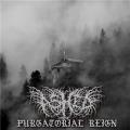 Ashed - Purgatorial Reign