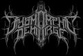 Dysmorphic Demiurge - Discography (2020 - 2021)