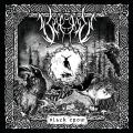 Sorrow - Black Crow