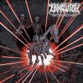 Languish - Feeding the Flames of Annihilation (Lossless)