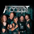 Accept - Discography (1979 - 2024)
