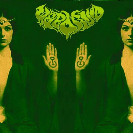 Weedruid - Into the Acid Swamp