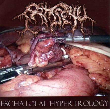 Various Artists - Stabbed... Unknown Putridities Eschatolal Hypertrology  (2 Way Split CD)