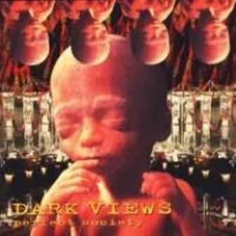 Dark Views - Perfect Society