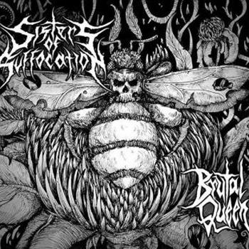 Sisters Of Suffocation  - Brutal Queen (EP)