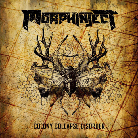 Morphinject  -  Colony Collapse Disorder 