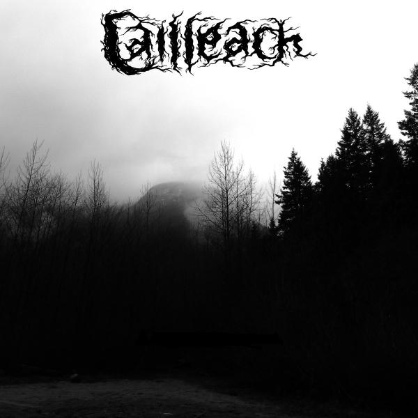 Cailleach - Discography (2013 - 2015)