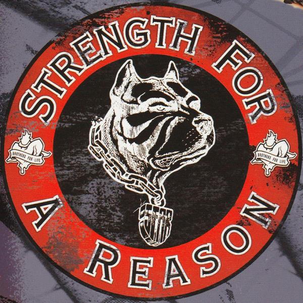 Strength For A Reason - Discography (2001-2013)