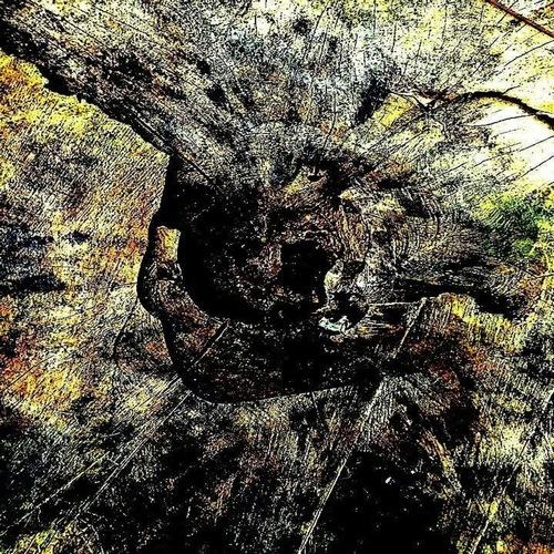 Braintree - Wood (Upconvert)