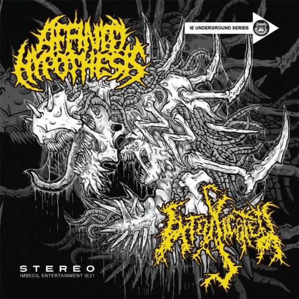 Affinity Hypothesis &amp; Intoxicated - Split