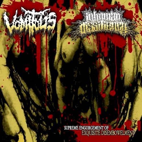 Inhuman Dissiliency - Discography