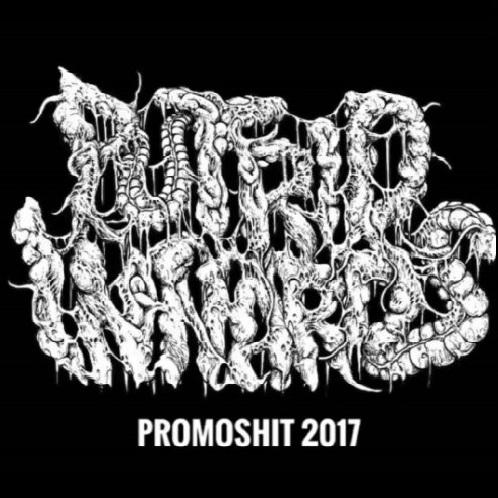 Putrid Innards - Promoshit 2017 (Demo) (Lossless)