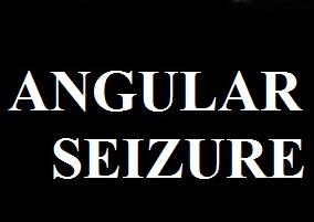 Angular Seizure - Discography (2014-2017) (Lossless)
