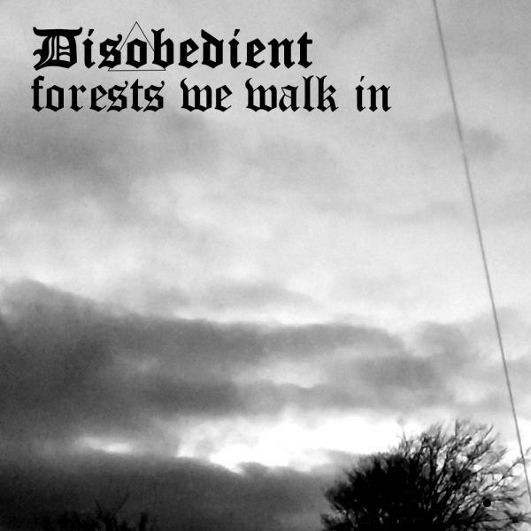 Disobedient - Forests We Walk In