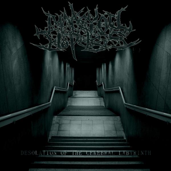 Make You Hopeless - Desolation of the Cerebral Labyrinth (EP)