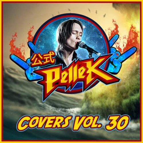 PelleK - Covers, Vol. 30 (Compilation)
