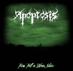 Apoptosis - From Fall to Winter Solstice