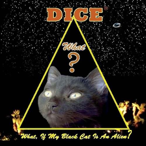 Dice - What, If My Black Cat Is An Alien?