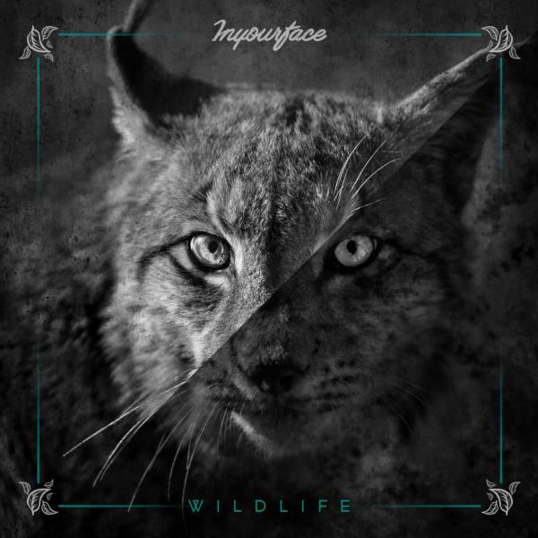 Inyourface - Wildlife