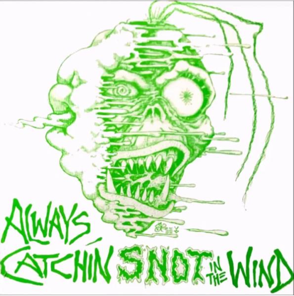Various Artists - Always Catching Snot In The Wind (Compilation)