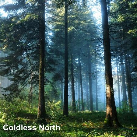 Coldless North - Discography