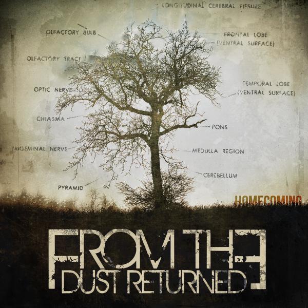 From the dust returned - Homecoming