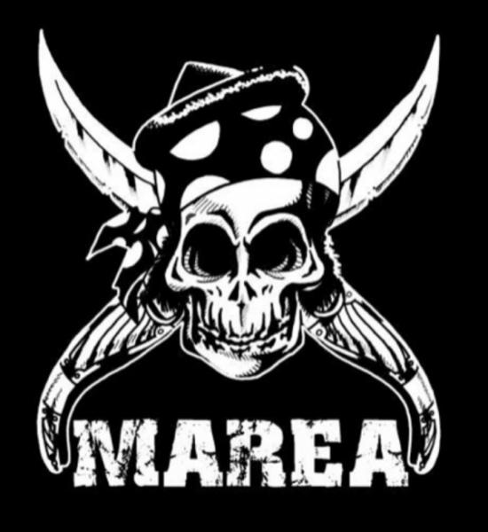 Marea - Discography (1999-2019)