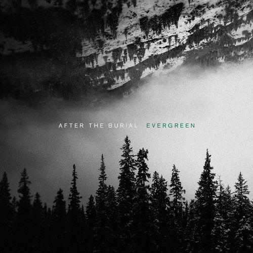 After the Burial - Evergreen