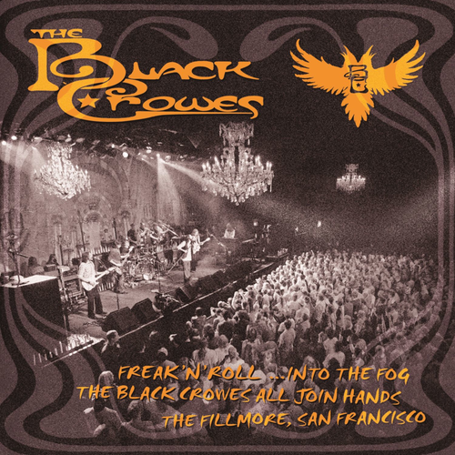 The Black Crowes - Freak 'n' Roll ...Into the Fog: The Black Crowes All Join Hands (Live)