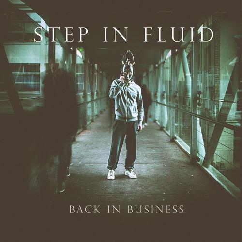 Step In Fluid - Discography (2011-2019)