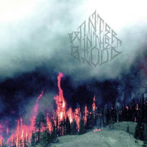 Winter in the Blood - Forest Fires