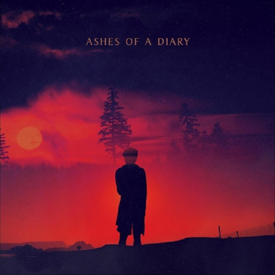 Dreaming Madmen - Ashes of a Diary