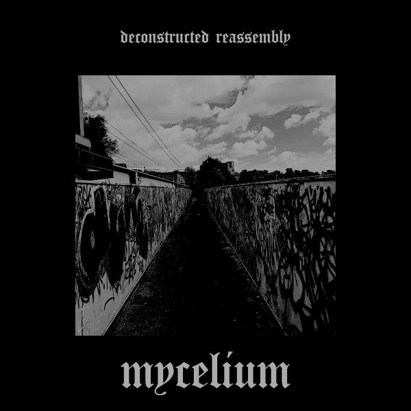 Mycelium - Discography (2016 - 2019)