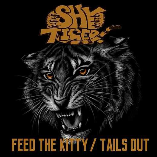 Shy Tiger - Discography (1993 - 2018)