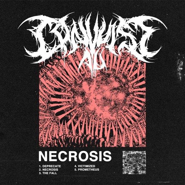 Convulse AU - Necrosis (EP)