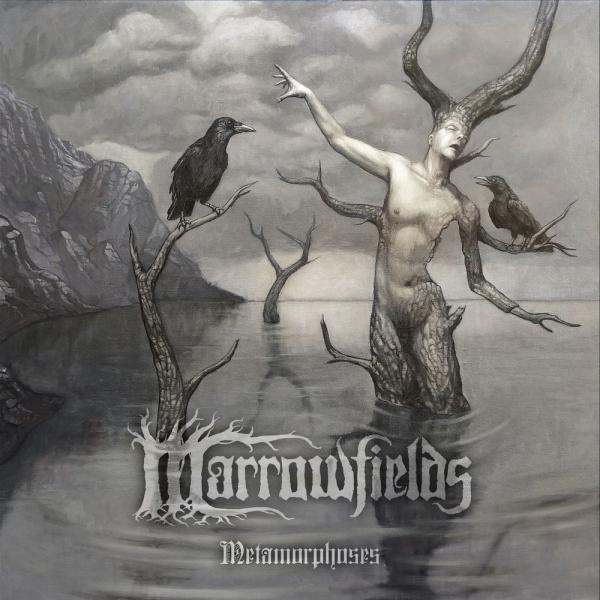 Marrowfields - Metamorphoses (Single)