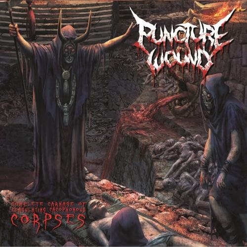 Puncture Wound - Complete Carnage of Coagulating Cacophonous Corpses