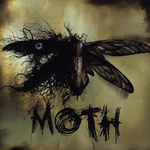 Moth - Moth