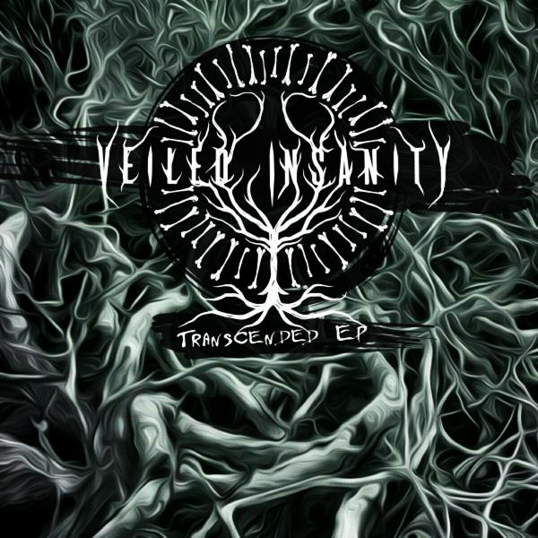 Veiled Insanity - Transcended (EP)