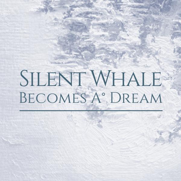 Silent Whale Becomes A° Dream - Discography (2011 - 2017)