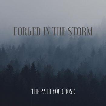 Forged In The Storm - The Path You Chose