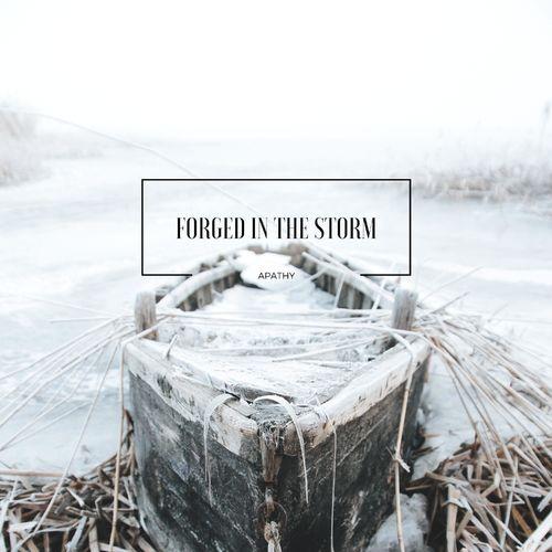 Forged in the Storm - Discography (2016 - 2020)