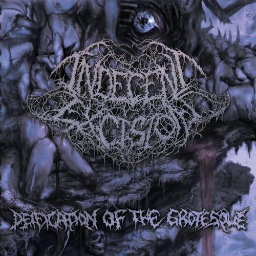 Indecent Excision - Deification of the Grotesque (Reissue)