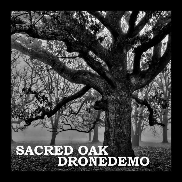 Sacred Oak - Dronedemo