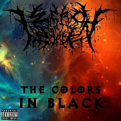 Zero Insertion Force - The Colors In Black