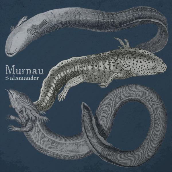 Murnau - Salamander