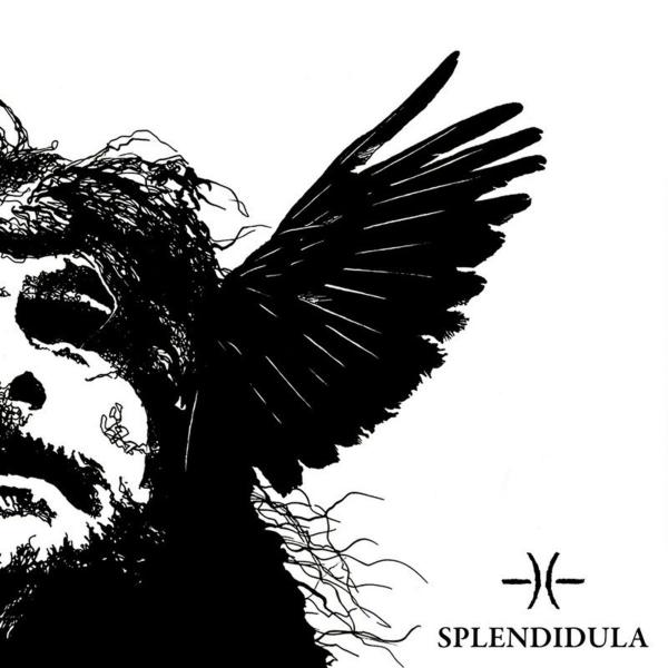 Splendidula - Discography (2013-2021)